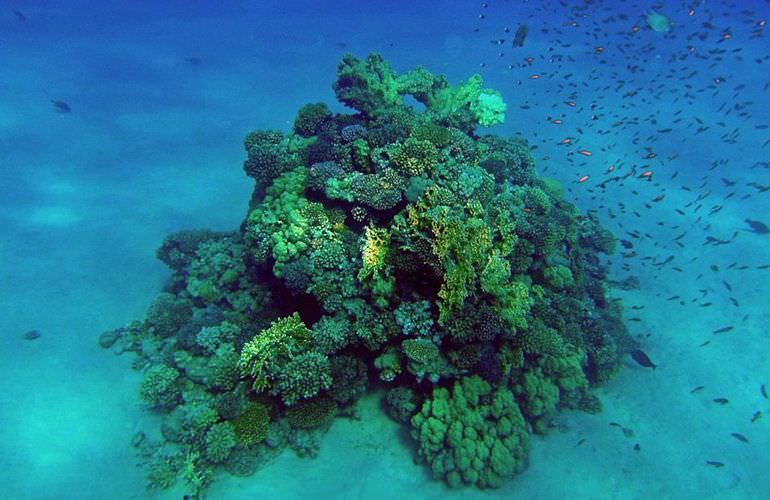 Katamaran & Segelboot Ausflüge in Hurghada